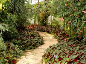 landscape path garden