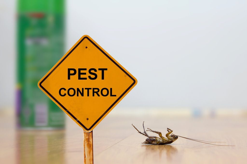 pest control agency